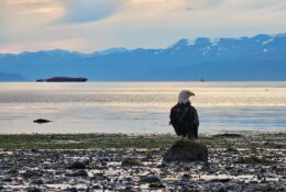 Alaska (38/65)